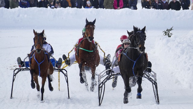 尤其是在比 尤其是在比