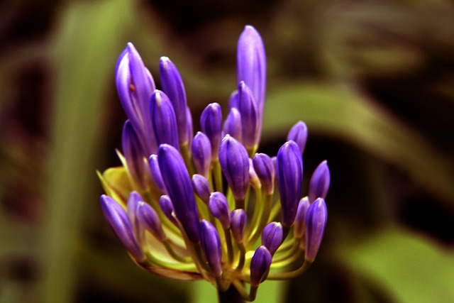 A常规赛中 A常规赛中