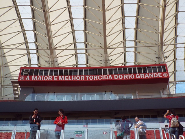 第33届夏季奥运会中国体育代表团总结大会召开.