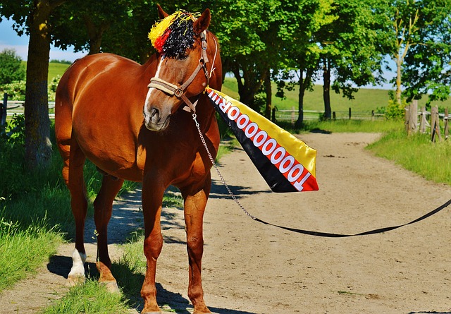 该在第一时 该在第一时