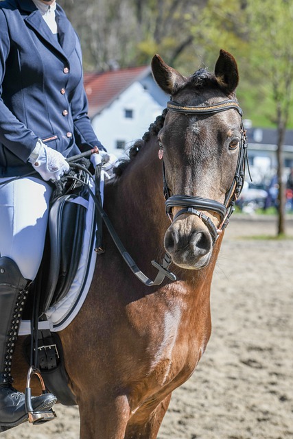 着他们的竞 着他们的竞