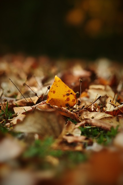 赛中扮演了 赛中扮演了