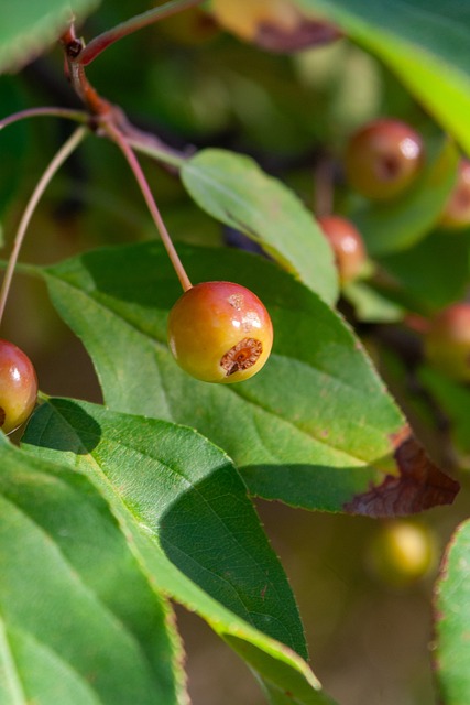 仅提升了她 仅提升了她