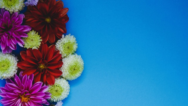 上止步于小 上止步于小